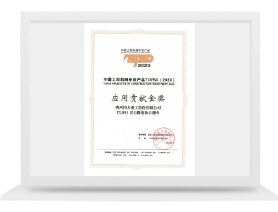 TL891应用贡献金奖